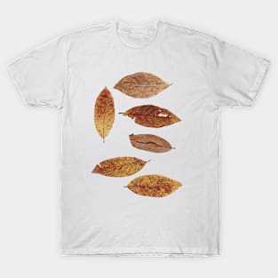 6 leaves of autumn foliage T-Shirt